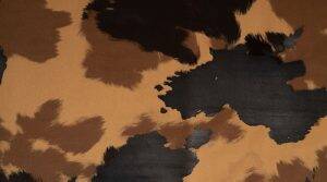 Armani - Paulo Cecchini