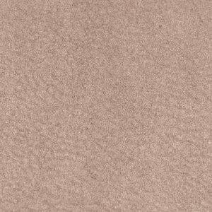 Perseus - 13